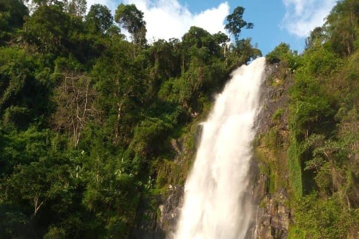 Materuni Falls, Coffee & Kikuletwa Hot Springs Day Trip from Arusha photo 4
