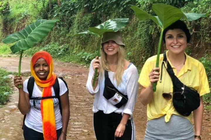 Materuni Falls, Coffee & Kikuletwa Hot Springs Day Trip from Arusha photo 5