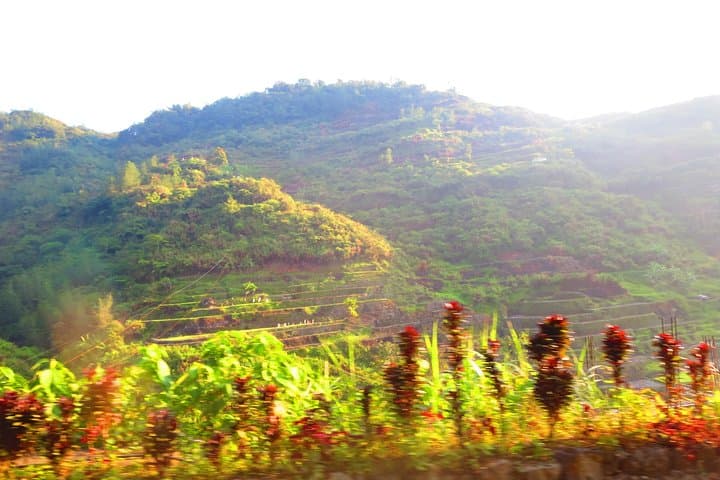 Banaue Rice Terraces Trek: Villages, Waterfalls & Homestays photo 3