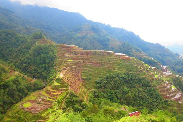 Banaue Rice Terraces Trek: Villages, Waterfalls & Homestays