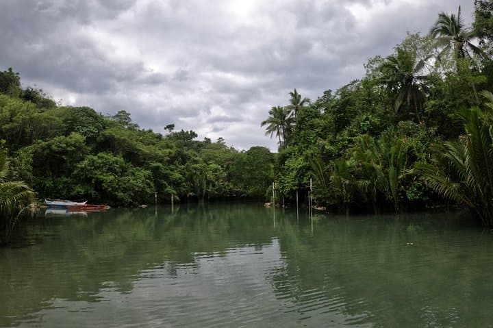 Bojo River Eco Cruise: Mangrove Boat Tour & Snorkeling in Aloguinsan photo 4