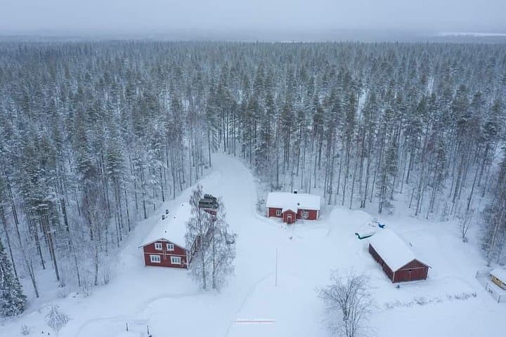 Lapland Husky Safari Near Kemi — 2-Hour Sled, Hot Kota & Sauna Experience photo 3