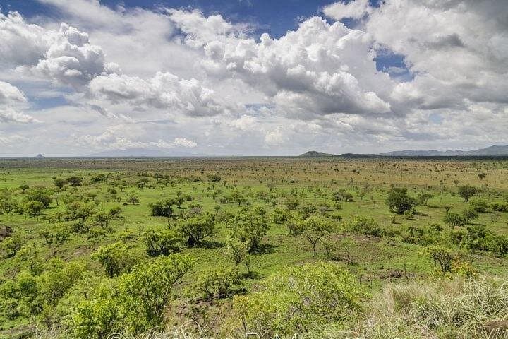 2-Day Pian-Upe Game Reserve Safari: Roan Antelope, Birding & Community Visits