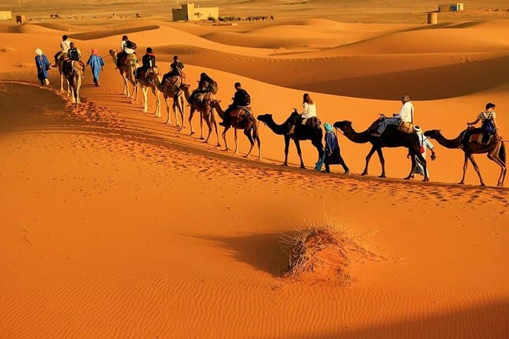 Zagora Desert Overnight: 2-Day Small-Group Tour from Marrakech photo 2