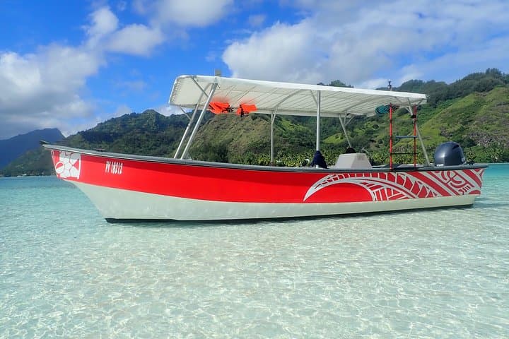 Swim with Humpback Whales — Half-Day Tour in Mo'orea photo 4