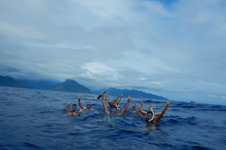 Swim with Humpback Whales — Half-Day Tour in Mo'orea photo 5