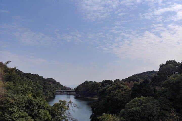 Mount Xiqiao Day Tour from Guangzhou: Hike, Temples & 61.9m Buddha photo 3