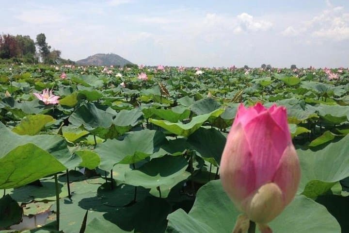 Prek Toal Bird Sanctuary Private Tour — Tonle Sap Boat Trip & Floating Village photo 2