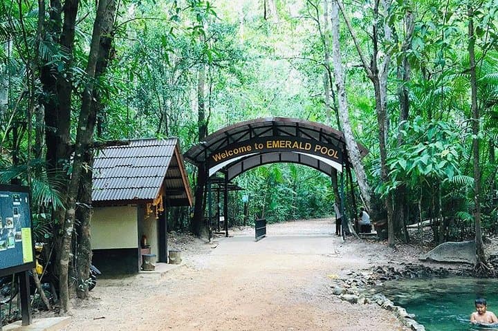 Half-Day Jungle Tour to Emerald Pool and Krabi Hot Spring | Klong Thom Nature Trail photo 6