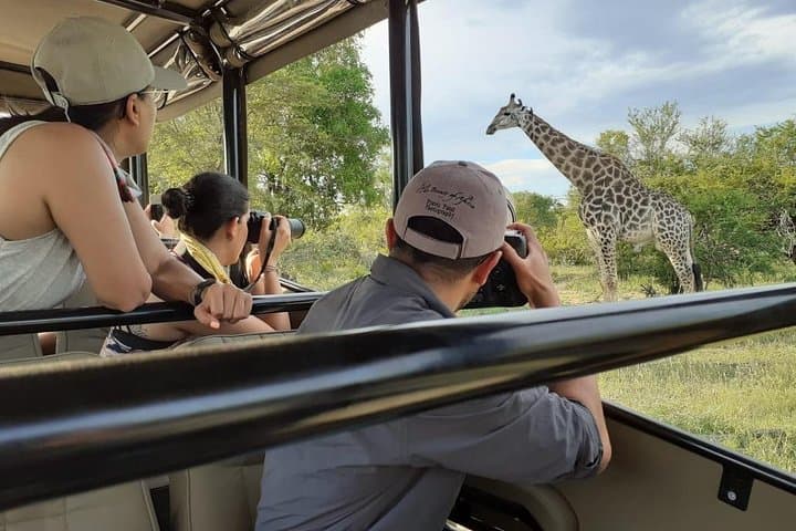 Kruger National Park Morning Safari — Big Five Guided Game Drive photo 3