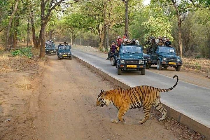Golden Triangle & Ranthambhore: Luxury 5-Day Private Tour from Delhi