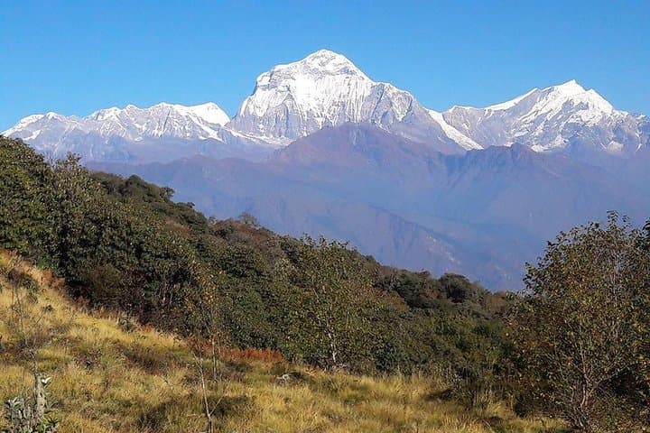 Poon Hill Trek: Sunrise Over Annapurna & Rhododendron Trails photo 5