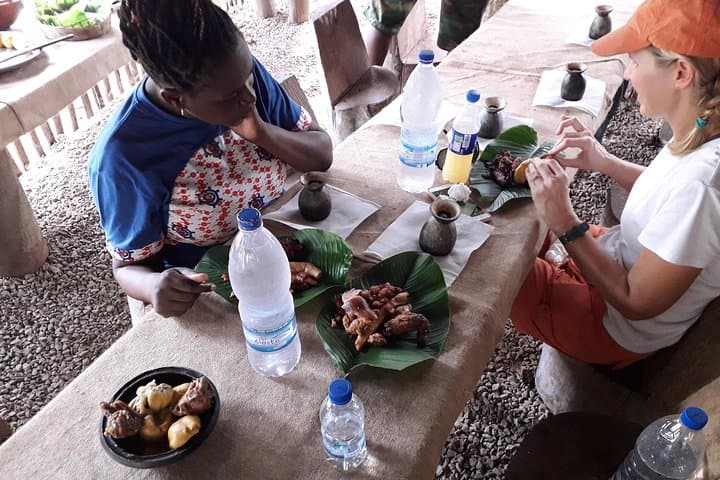 Cocoa & Rubber Plantation Day: Traditional Ivoirian Village, Zipline & Mud Bath near Abidjan