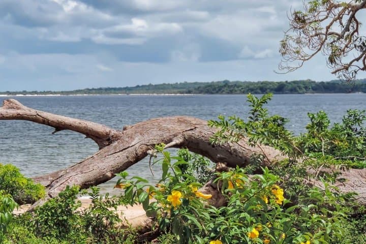 Fordlândia & Tapajós River: 5-Day Amazon History and Jungle Cruise photo 5