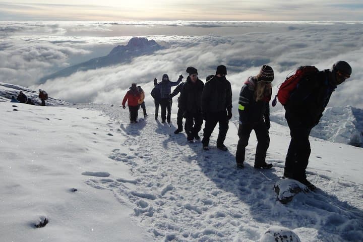 Mount Kilimanjaro 7-Day Machame Route: Summit Uhuru Peak on the 'Whiskey' Trail