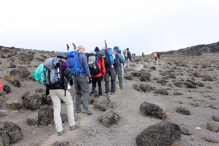 Mount Kilimanjaro 7-Day Machame Route: Summit Uhuru Peak on the 'Whiskey' Trail photo 4