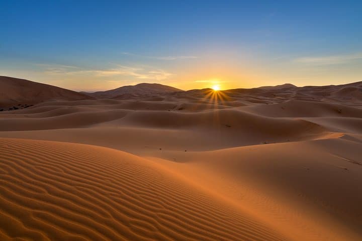 Sunrise Desert Safari in Al Khatim — Dune Bashing, Camel Rides & Sandboarding photo 2