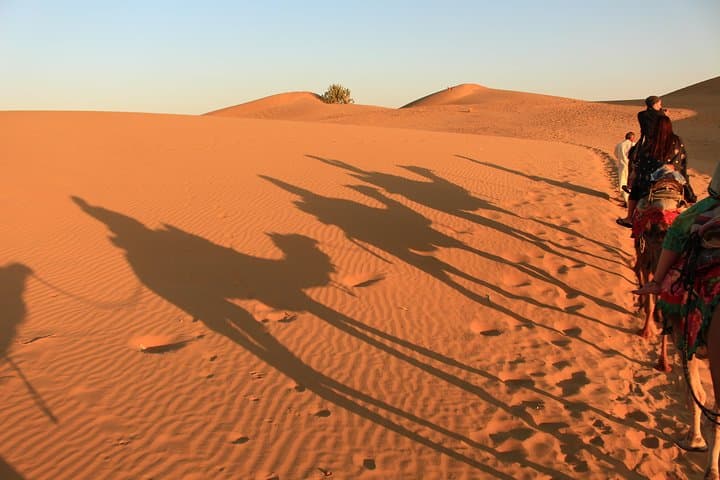 Sunrise Desert Safari in Al Khatim — Dune Bashing, Camel Rides & Sandboarding photo 3