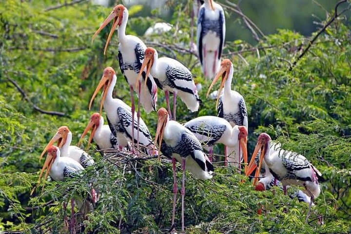 Golden Triangle and Ranthambore: 5-Day Private Tour from Delhi photo 4