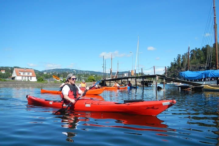 Oslo Fjord Kayak Tour: 2-Hour Guided Paddle from Sjølyst photo 6