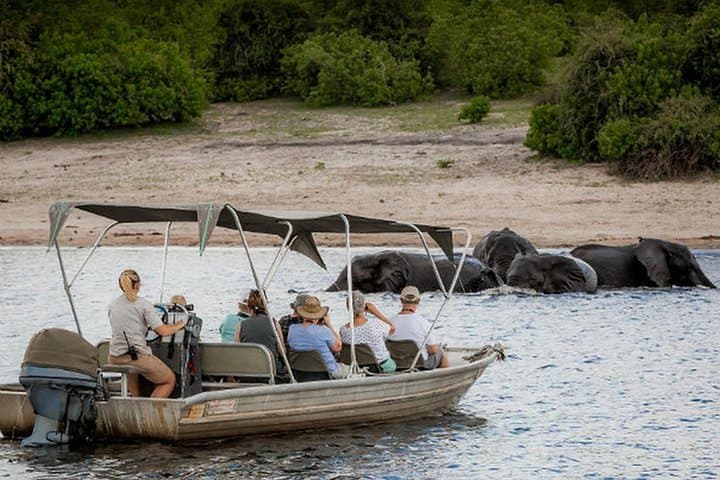Chobe National Park 2-Day Camping Safari: Kasane Boat Cruise & Game Drives photo 5