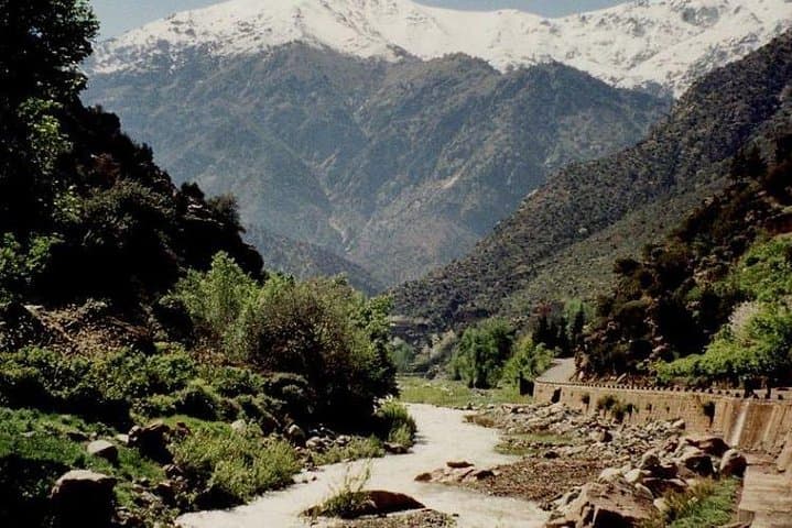 Three Valleys & Atlas Mountains Day Trip from Marrakech with Camel Ride photo 5