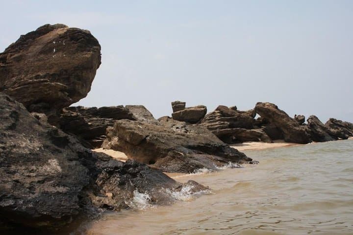 Exploring the Jari Canal: Alter do Chão Boat Tour to Tapajós Beaches & Wildlife photo 3
