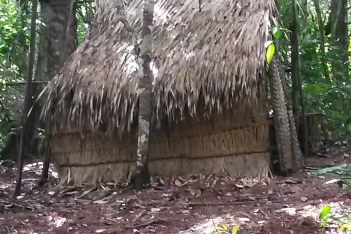 Wild Amorim Adventure: Alter do Chão Tapajós Boat Tour photo 3