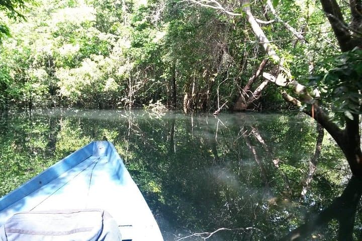 Wild Amorim Adventure: Alter do Chão Tapajós Boat Tour photo 4