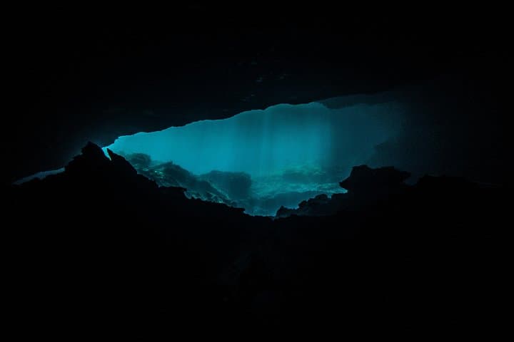 Scuba Diving in Cenotes near Playa del Carmen: Guided Cave & Cavern Dives photo 6