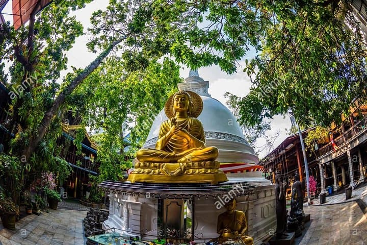Colombo After Dark: Private Night Tour and Street Food Tasting photo 6