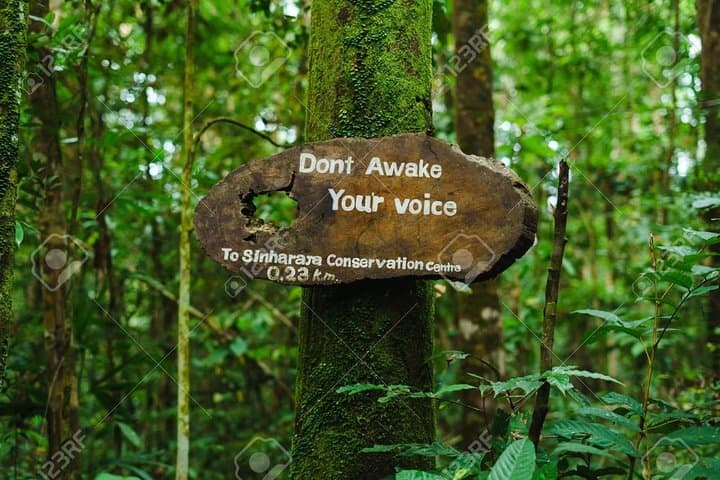 Sinharaja Rain Forest Guided Day Tour from Colombo — Trekking & Birding in Sri Lanka photo 4
