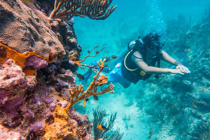 Scuba Diving Cozumel Island Private Boat on the Mesoamerican Reef photo 2