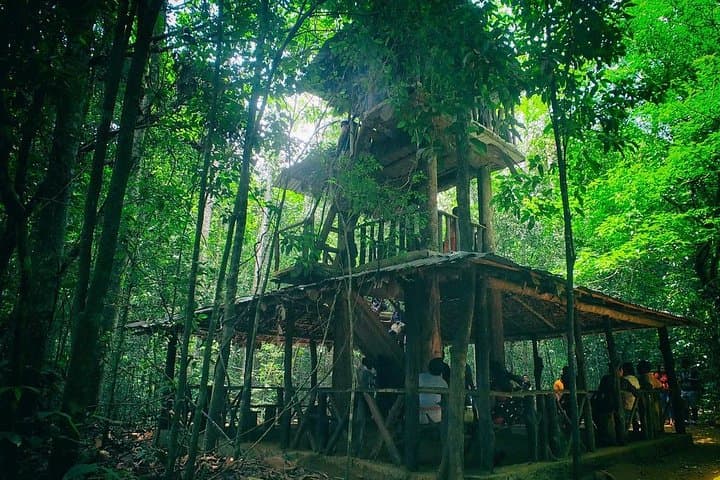 Kanneliya Rain Forest Day Trip from Colombo: Walk Sri Lanka's Ancient Canopy photo 4