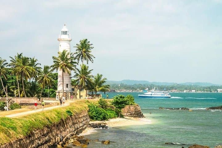 Mirissa Whale Watching, Stilt Fishing & Turtle Tour from Colombo — Full-Day Marine Wildlife Adventure photo 4