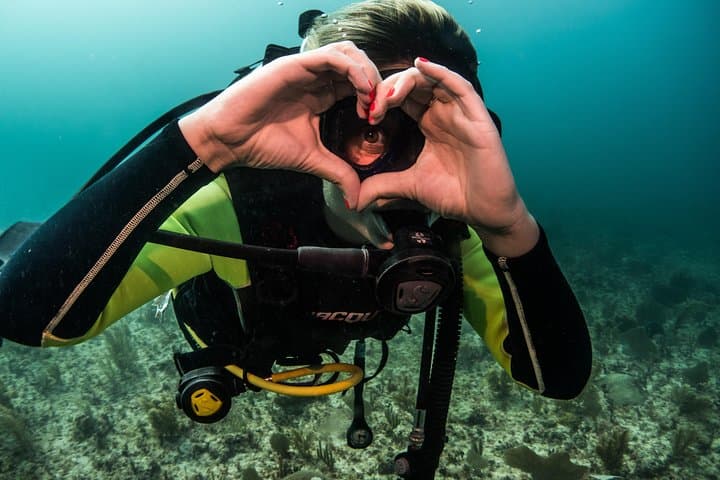 Local Dive in Playa del Carmen: Two-Tank Reef Dive with Conservation Focus photo 2