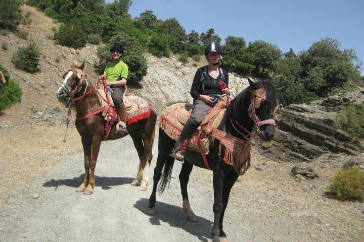 Atlas Mountains Horseback Ride & 3 Valleys Day Trip from Marrakech