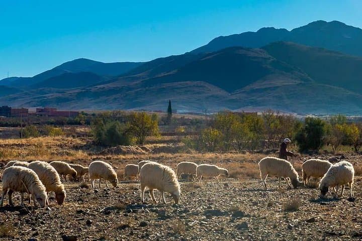 Atlas Mountains Horseback Ride & 3 Valleys Day Trip from Marrakech photo 2