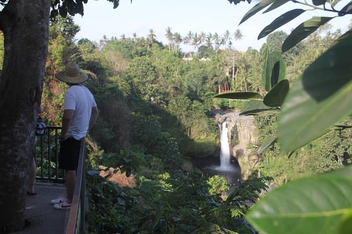 Ayung River Rafting in Ubud, Bali — Class II–III White Water Adventure photo 4