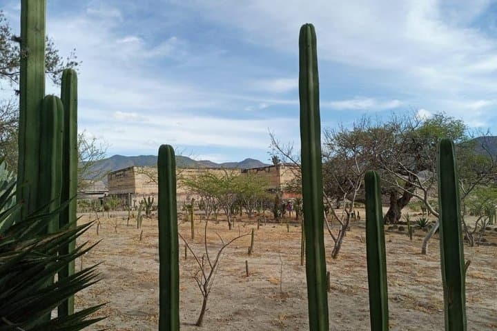 Two-Day Oaxaca Combo: Hierve el Agua & Monte Albán Guided Tours photo 6