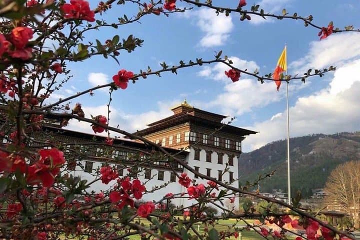 Nepal and Bhutan Tours: 8-Day Cultural Journey to Kathmandu, Thimphu & Paro photo 2