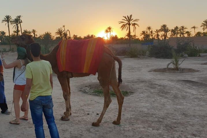 Marrakech to Merzouga: 7-Day Marrakech and Desert Adventure photo 4