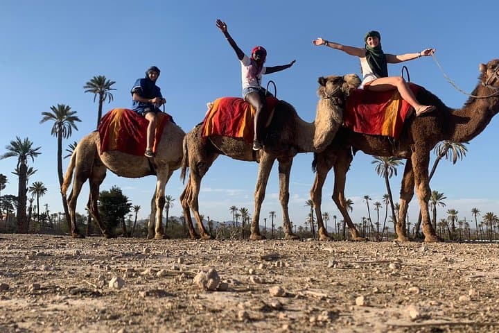 Marrakech to Merzouga: 7-Day Marrakech and Desert Adventure photo 2
