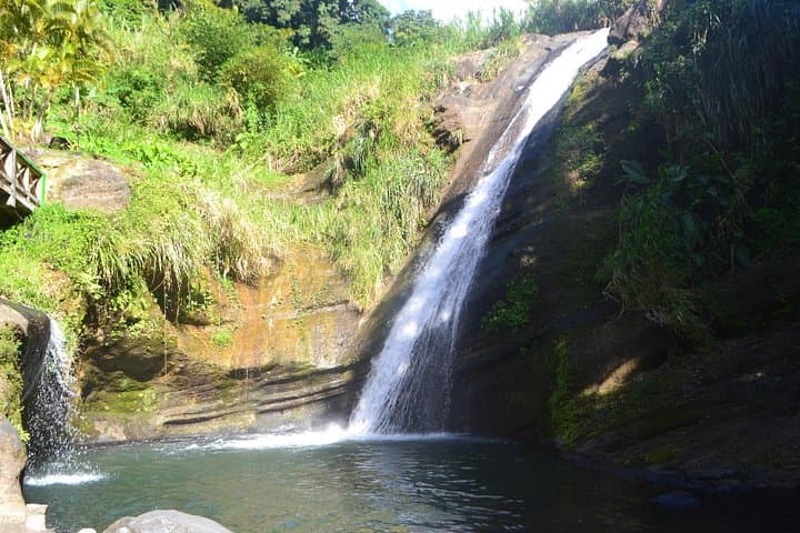 Grenada Isle of Spice Full-Day Adventure — Waterfalls, Rum, Chocolate & Grand Etang photo 4