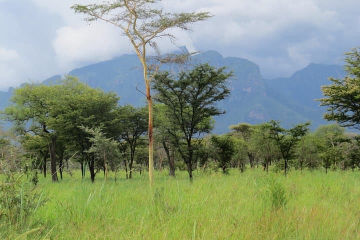 4-Day Sipi Falls and Pian-Upe Wildlife Tour — Hike, Game Drives & Cultural Stay
