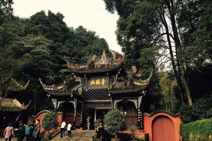 Dujiangyan Panda Volunteer Day Trip & Mount Qingcheng Self-Guided Tour from Chengdu photo 2
