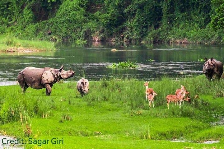 Trisuli Rafting & Chitwan Jungle Safari — 4-Day Kathmandu Adventure photo 3