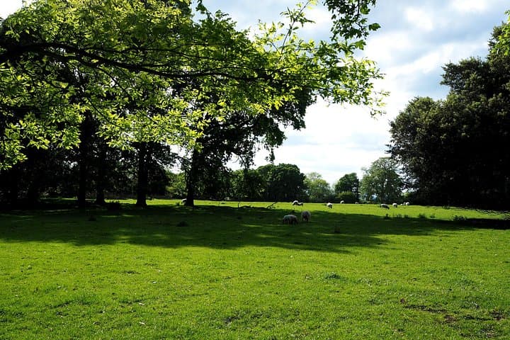 London to Cotswolds Day Tour: Private Full-Day Drive Through England's Countryside photo 3