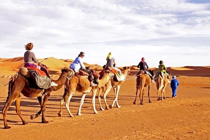 Dubai Evening Desert Quad Biking and BBQ Safari photo 3
