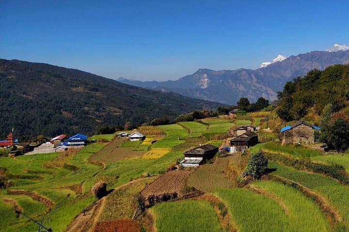 Khopra Danda & Khayar Lake Private Trek — Annapurna Ridge Views from Pokhara photo 4